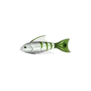 Green Tail Tiger Fish